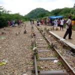 So many monkeys at Goram Ghat Railway Station